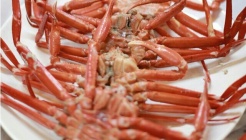 조개까는홍게문어 매장 이미지