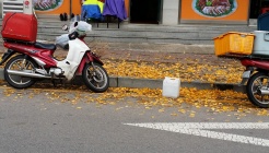 진미왕족발 매장 이미지