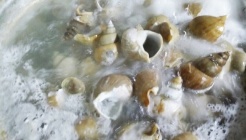 신포통골뱅이 매장 이미지