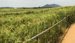 보리나라 학원농장 매장 이미지