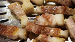 제주16돈가 매장 이미지