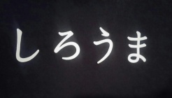 시로우마 매장 이미지