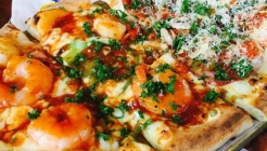 코요테살룬 매장 이미지