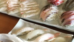 선창횟집 매장 이미지