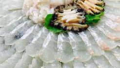 돌바우횟집 매장 이미지