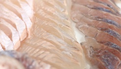 해광횟집 매장 이미지