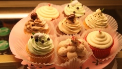 동지앙 매장 이미지