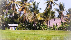 베벡벵길 더티덕(Bebek Bengil Dirty Duck) 매장 이미지