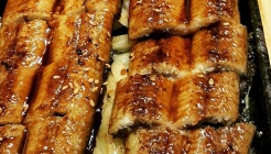 여의민물장어 매장 이미지