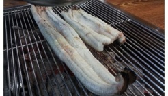 장어촌 한방민물장어 매장 이미지