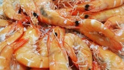 왕새우가든 매장 이미지