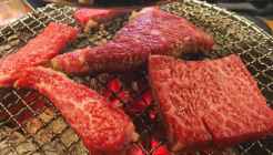 차돌집 매장 이미지