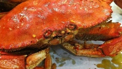 Raging Crab(레이징크랩) 매장 이미지