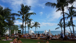 포테이토헤드 Potato Head 매장 이미지