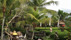 베벡 뜨삐 사와 bebektepisawah 매장 이미지