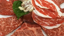 도치돌 가든 매장 이미지