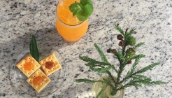 아날로그감귤밭 매장 이미지