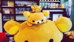 쎄라비 매장 이미지