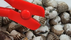 수목회관 매장 이미지