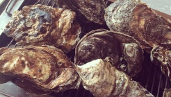 하나로횟집장어구이 매장 이미지