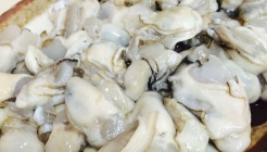 지영이네횟집칼국수 매장 이미지