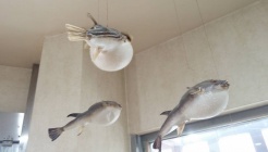 불당동복요리전문점 매장 이미지