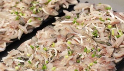 사량도횟집  매장 이미지