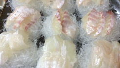 자연흑산도활어회 매장 이미지