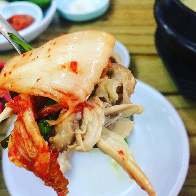 개성녹각삼계탕 매장 이미지