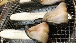 풍천장어촌 매장 이미지