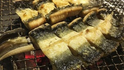 기센장어 매장 이미지