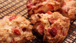 꼬마놀이터 매장 이미지