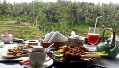 Teras Padi Café(테라스 파디 카페) 매장 이미지