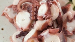 묵호문어집 매장 이미지