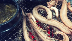 아우네쭈꾸미꼼장어 매장 이미지