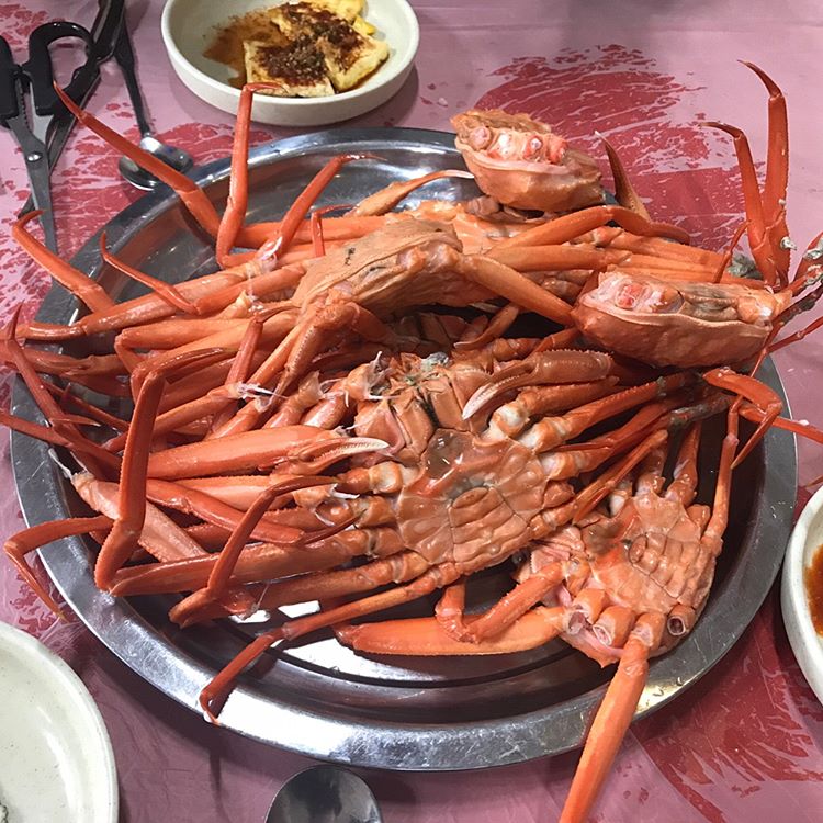 포항 울진왕돌초 매장 이미지