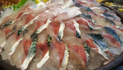 광명수산 매장 이미지