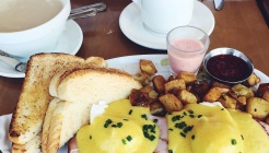 코쿤 딘궤 매장 이미지