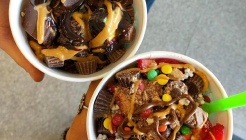 Froyo World 매장 이미지