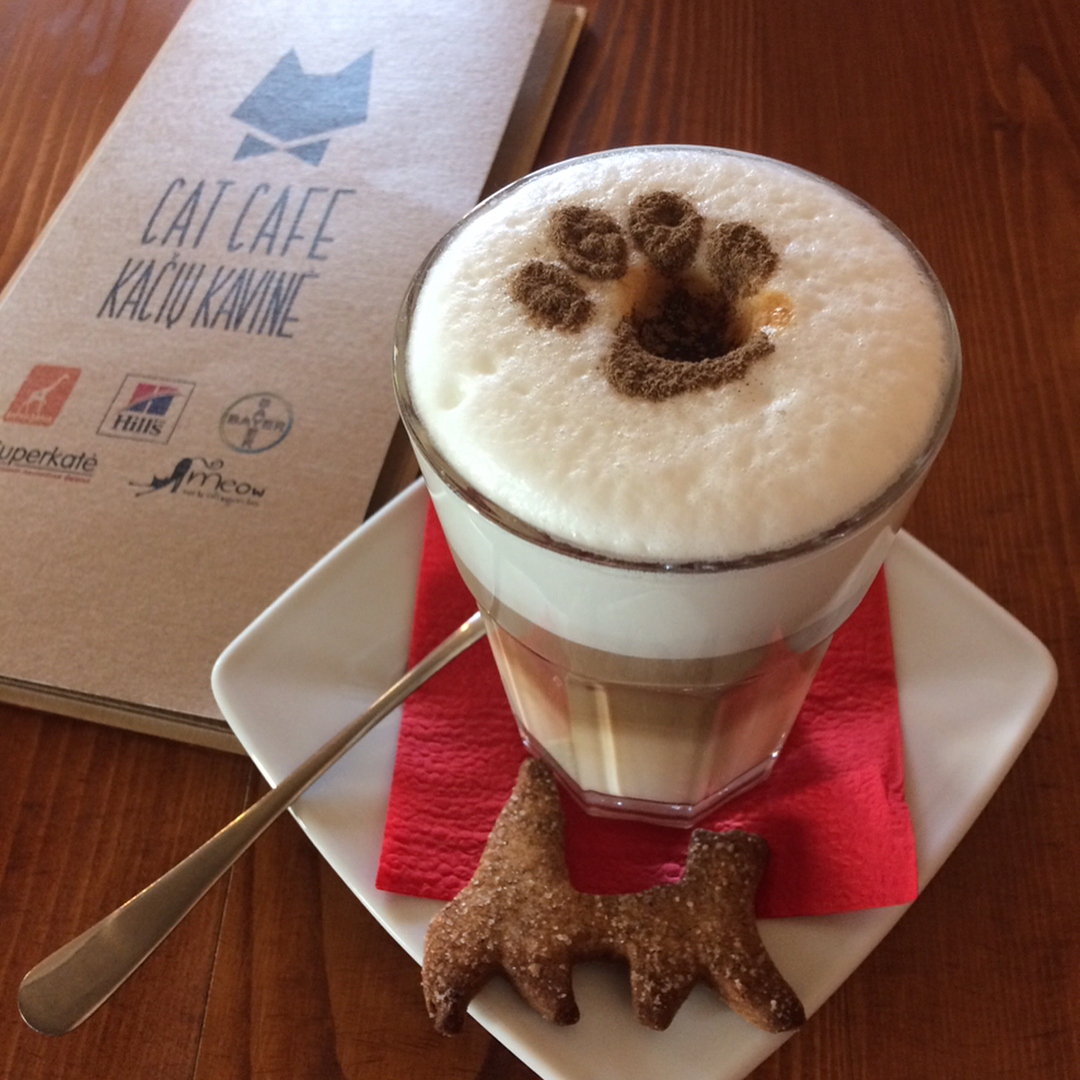 캣 카페 (Cat Cafe) 매장 이미지