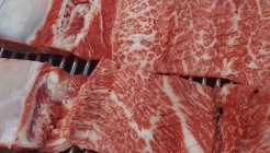 중앙가든 매장 이미지