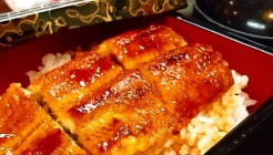 교사이 (ぎょさい) 매장 이미지