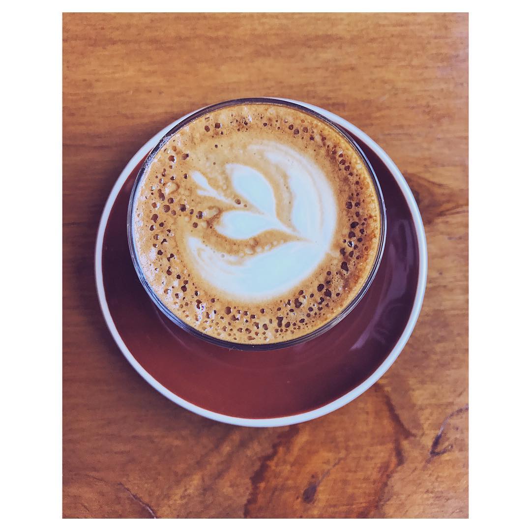 엘 인제르토 (El Injerto Cafe) 매장 이미지
