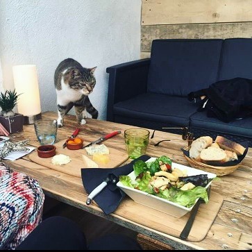 La Compagnie des Chats 매장 이미지