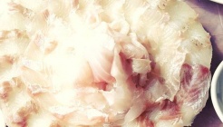 강남횟집 매장 이미지