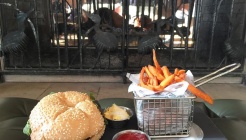 Mallard Lounge 매장 이미지