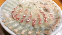 대어횟집 매장 이미지