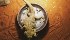 스마일러 매장 이미지