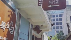 백록식당 매장 이미지