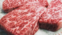 진성관 매장 이미지